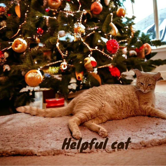 Oliver Twist Maylie Cottage Dickens Village 1990 In Box - Picture 10 of 10